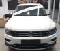 Volkswagen Tiguan 2019 - Ô tô Đức 2019 nhập khẩu, khác biệt, độc, lạ, trắng Ngọc Trinh giao ngay trong tuần, bank 85%, giải ngân nhanh