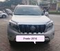 Toyota Land Cruiser 2.7L 2014 - Bán Toyota Land Cruiser 2.7L đời 2014, màu bạc, nhập khẩu chính chủ