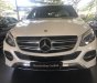 Mercedes-Benz GLE-Class GLE400 Exclusive 2017 - Bán Mercedes GLE400 Exclusive 2017 màu trắng, nội thất nâu, nhập khẩu 100%. LH: 0903 333 580