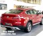 BMW X4 2019 - Bán xe BMW X4 năm sản xuất 2019, màu đỏ, một chiếc xe hoàn toàn phá cách