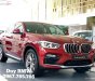 BMW X4 2019 - Bán xe BMW X4 năm sản xuất 2019, màu đỏ, một chiếc xe hoàn toàn phá cách