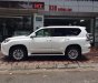 Lexus GX 460 2017 - Bán Lexus GX 460 sản xuất năm 2017, màu trắng, xe nhập