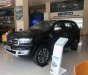 Ford Everest Titanium  2019 - Bán Ford Everest Titanium đời 2019, màu đen, nhập khẩu