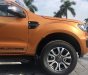 Ford Ranger Wildtrak 2019 - Bán Ford Ranger Wildtrak 2019, nhập khẩu