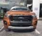 Ford Ranger Wildtrak 2019 - Bán Ford Ranger Wildtrak 2019, nhập khẩu