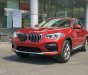 BMW X4 xDrive20i 2018 - Bán BMW X4 mới - chưa đăng ký