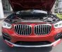 BMW X4 xDrive20i 2018 - Bán BMW X4 mới - chưa đăng ký