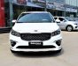 Kia Sedona Luxury 2019 - Kia Sedona Platinum D 2019 full option, quà tặng phụ kiện cao cấp cho xe, cam kết giá rẻ nhất TP. HCM