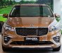 Kia Sedona   Platinum G 3.3L 2019 - Bán Kia Sedona Platinum G 3.3L 2019 - Tặng BHVC + camera hành trình 14tR - Hỗ trợ trả góp 85%