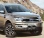 Ford Everest 2019 - Bán Ford Everest đời 2019, nhập khẩu