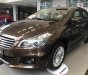 Suzuki Ciaz 2019 - Bán xe Suzuki Ciaz năm sản xuất 2019, màu nâu, nhập khẩu, 455tr