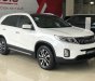 Kia Sorento 2019 - [Kia Bình Triệu] Kia Sorento 2019, hỗ trợ trả góp 85%, ưu đãi tốt nhất TP. HCM LH ngay 0939 701 039