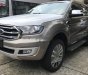 Ford Everest Titanium 2.0L 4x4 AT 2019 - Bán Ford Everest Titanium 2.0L 4x4 AT sản xuất 2019, xe nhập, nhẹ nhàng onroad, mạnh mẽ offroad