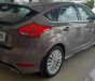 Ford Focus Sport   2019 - Bán xe Ford Focus Sport 5 cửa sản xuất năm 2019, màu nâu hổ phách, giao ngay