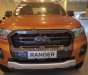 Ford Ranger Wildtrak 2.0L 4x4 AT 2019 - Bán Ford Ranger Wildtrak 2.0L 4x4 AT đời 2019, nhập khẩu Thái Lan