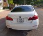 BMW 5 Series 520i  2014 - Bán xe BMW 520i đời 2015