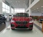 BMW X4 xDrive20i 2018 - Bán BMW X4 xDrive20i 2018, màu đỏ, nhập khẩu nguyên chiếc