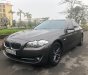 BMW 5 Series 523i 2011 - Bán BMW 5 Series 523i đời 2011, màu nâu, xe nhập