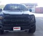 Ford F 150 Raptor 2019 - Cần bán xe Ford F 150 Raptor năm sản xuất 2019, màu đen, xe nhập