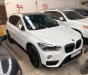 BMW X1 sDrive20i 2016 - Bán BMW X1 sDrive20i đời 2016, màu trắng, xe nhập 