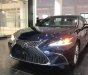 Lexus ES  250   2019 - Bán Lexus ES 250 2019, màu xanh lam, nhập khẩu  