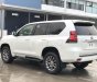 Toyota Land Cruiser Prado VX 2019 - Bán Toyota Land Cruiser Prado mới 100%, NK Nhật Bản, giá tốt, LH 0942.456.838