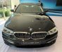 BMW 5 Series 530i 2019 - Bán ô tô BMW 5 Series 530i sản xuất năm 2019, màu đen, mới 100%