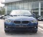 BMW 3 Series 320i 2018 - Bán BMW 320i đời 2018, màu xanh, số tự động, máy xăng, nhập khẩu