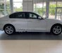 BMW 3 Series 320i 2018 - Bán ô tô BMW 3 Series 320i đời 2018, màu trắng, mới 100%