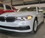 BMW 5 Series 520i 2018 - Bán BMW 520i-G30 tại Đà Nẵng - mới chưa đăng ký