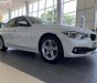 BMW 3 Series 320i 2018 - Bán ô tô BMW 3 Series 320i đời 2018, màu trắng, mới 100%