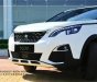 Peugeot 5008 2019 - Bán Peugeot 5008 2019 mới ở Đồng Nai giá ưu đãi, có xe đủ màu giao ngay trong tháng - Liên hệ 0933 805 806