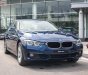 BMW 3 Series 320i 2018 - Bán BMW 320i đời 2018, màu xanh, số tự động, máy xăng, nhập khẩu