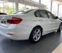 BMW 3 Series 320i 2018 - Bán ô tô BMW 3 Series 320i đời 2018, màu trắng, mới 100%