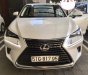 Lexus NX NX300 2018 - Bán Lexus NX 300 sản xuất 2018 xe mới đi 1.600km, cam kết chất lượng bao kiểm tra tại hãng