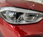 BMW X4 xDrive20i 2018 - Cần bán BMW X4 xDrive20i 2018, màu đỏ, nhập khẩu