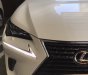 Lexus NX NX300 2018 - Bán Lexus NX 300 sản xuất 2018 xe mới đi 1.600km, cam kết chất lượng bao kiểm tra tại hãng