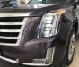 Cadillac Escalade   2015 - Cần bán gấp Cadillac Escalade đời 2015, đăng ký lần đầu 2017