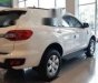 Ford Everest   2019 - Bán Ford Everest 2019, màu trắng, nhập khẩu