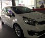 Kia Rio MT 2016 - Bán xe Kia Rio MT sản xuất năm 2016, màu trắng, nhập khẩu nguyên chiếc giá cạnh tranh