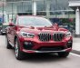 BMW X4 xDrive20i 2019 - Cần bán BMW X4 xDrive20i đời 2019, màu đỏ, nhập khẩu nguyên chiếc