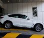 BMW X4 2018 - Bán BMW X4 đời 2019, màu trắng, nhập khẩu