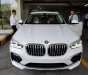 BMW X4 2018 - Bán BMW X4 đời 2019, màu trắng, nhập khẩu