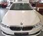 BMW 5 Series 530i Luxury Line 2018 - Bán BMW 5 Series 530i Luxury Line 2018, màu trắng, nhập khẩu, mới 100%