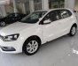 Volkswagen Polo 2018 - Cần bán Volkswagen Polo 2018, màu trắng, nhập khẩu,   mới 100%