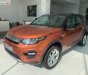 LandRover Discovery Sport HSE 2017 - Bán Discovery Sport HSE 2.0 model 2018 bản 5 chỗ