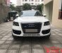 Audi Q5 2.0 TFSI Quattro 2010 - Chính chủ cần bán Audi Q5 2.0 TFSI Quattro SX 2010, màu trắng, xe nhập