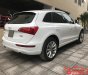 Audi Q5 2.0 TFSI Quattro 2010 - Chính chủ cần bán Audi Q5 2.0 TFSI Quattro SX 2010, màu trắng, xe nhập