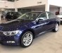 Volkswagen Passat 1.8 Bluemotion 2018 - Cần bán xe Volkswagen Passat 1.8 Bluemotion sản xuất 2018, màu xanh lam, nhập khẩu