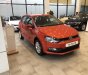 Volkswagen Polo 1.6 AT 2018 - Bán xe Volkswagen Polo 1.6 AT sản xuất năm 2018, màu đỏ, xe nhập